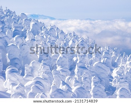 Snow monsters (soft rime) with cloud sea in the background (Zao, Yamagata, Japan)