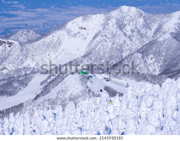 Snow monsters (soft rime) with peaks in the\
background (Zao, Yamagata,\
Japan)