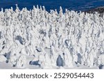 Snow Monsters at Zao-Onsen at Yamagata, Japan in winter