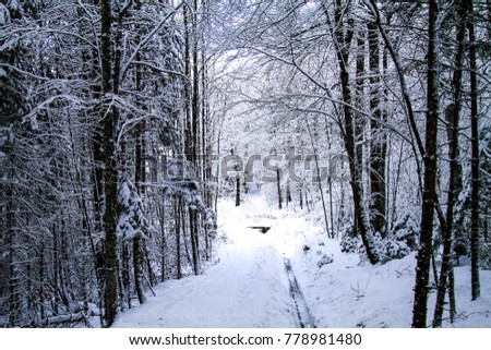 Similar – Image, Stock Photo Tracks in the snow Winter