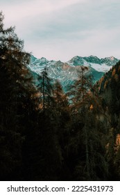 Snow Mountain, Forest, Fog Mountains Wallpaper HD