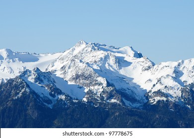 snow mountains and forests in olympic national park, washington, usa