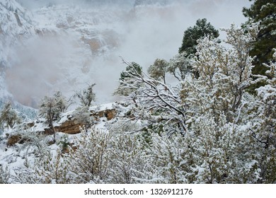 Snow At Mt. Charleston