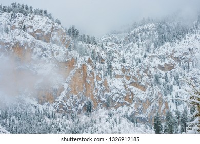 Snow At Mt. Charleston