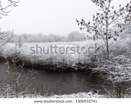 Similar – zeitlos | Himmelgrau Teich