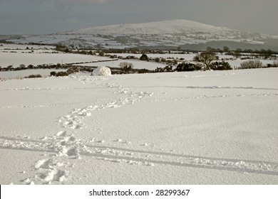 Snow On Dartmoor