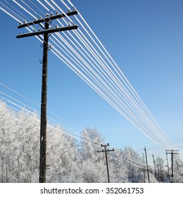 Snow On Electric Wires