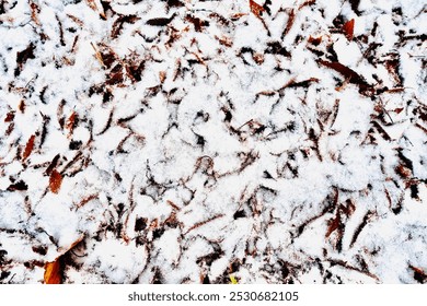 Snow on fallen leaves, background image                         - Powered by Shutterstock