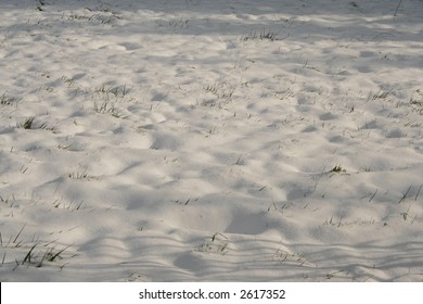 Snow on the grass