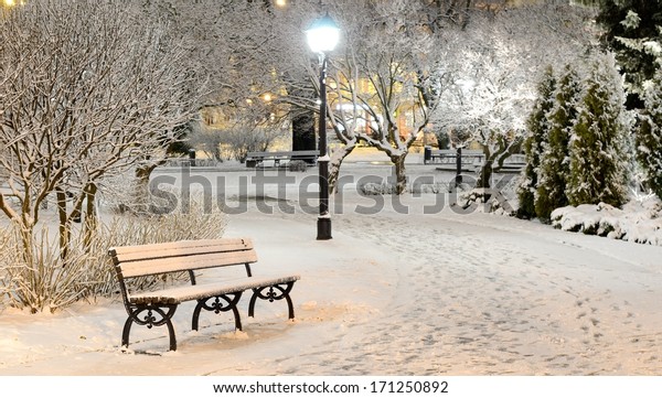snow on trees in Riga park by night