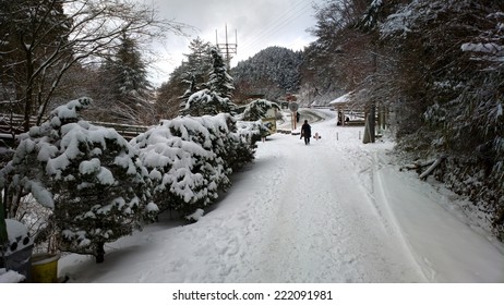 Snow In Osaka Japan In The Winter 