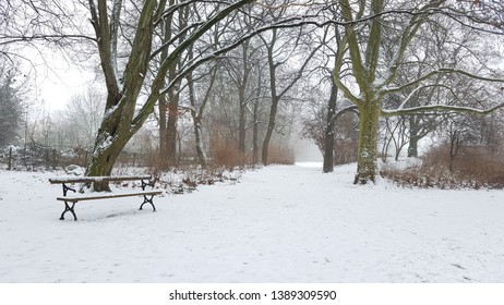 Snow/ Park/ Leipzig/ Germany/ Winter/ 