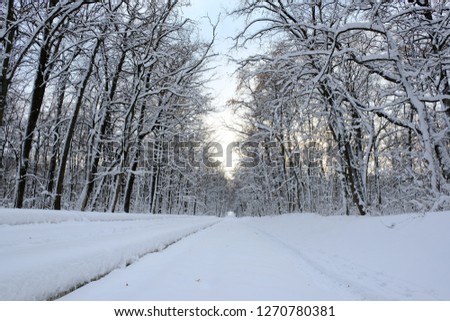 snow parks of Ukraine