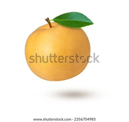 Snow pear or nashi pear (Golden pear} with green leaf flying in the air isolated on white background.