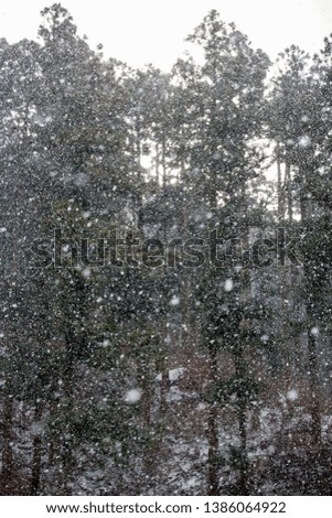 Similar – Image, Stock Photo Snow/Rain Nature Air