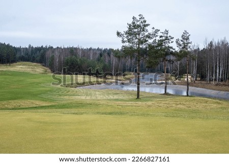 snow pond and yellow green grass on the golf course	
