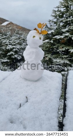 Snow Puppet with Yellow Leaf Hat