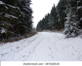 Snow In The Queen Elizabeth Country Park