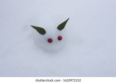 Snow Rabbit Made By Playing With Snow