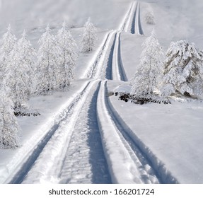 snow road up and down - wavy - trees - ski race - weather forecast - bumpy road - crosscountry race