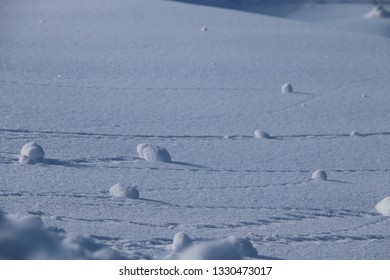 Snow Rolling Downhill