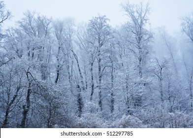 Snow Scape Of Mountain