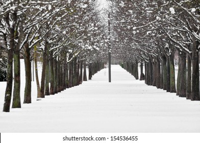 Snow Scape In Vitoria (Spain)