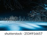 Snow scene of Biei Green Pond in Hokkaido, Japan in winter