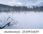 Snow scene of Biei Green Pond in Hokkaido, Japan in winter