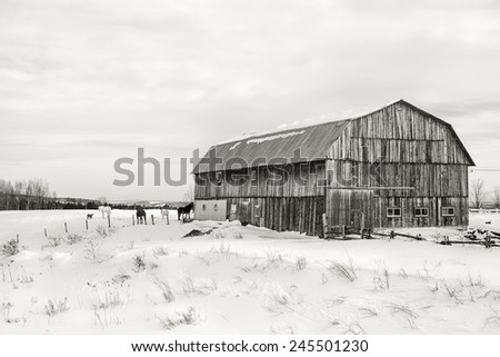 Snow Scene Old Barn Horses Goat Stock Photo Edit Now 245501230