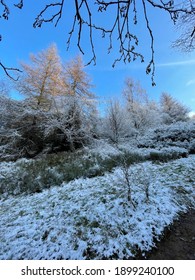 Snow Scene At Rivington Pike