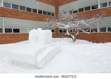 Snow Sculpture, Tank