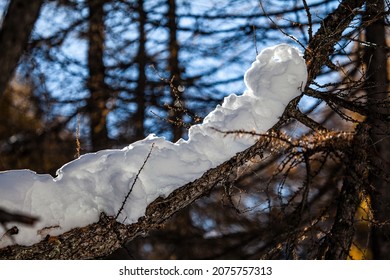 Schneefälle auf einer Lärchenbahn im Winter