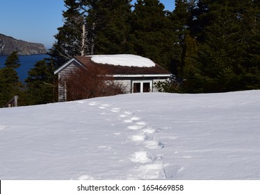 Snow Shoe Tracks In Deep Snow Cabin Near The Ocean In The Background 