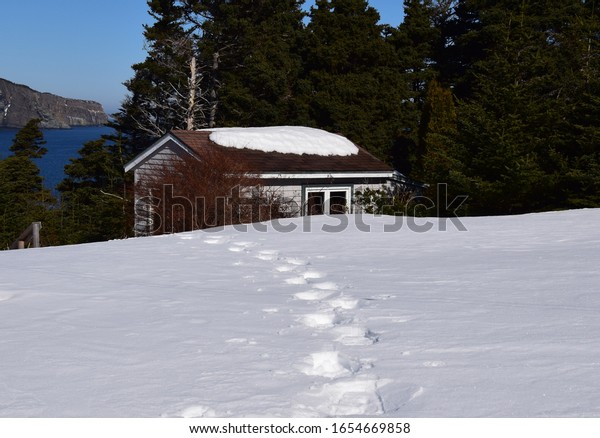 snow shoe tracks in deep snow cabin near the ocean in\
the background 