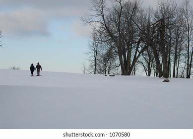 Snow Shoeing In Park