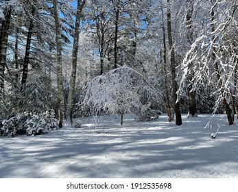 The Snow Storm In East Hampton, Suffolk County, New York State Whitening The Landscape.