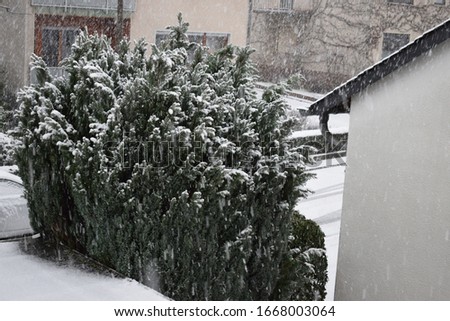 Similar – Image, Stock Photo Snowy Afternoon Walk