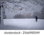 Snow storm Ottawa Canada, Ottawa river , Parkway