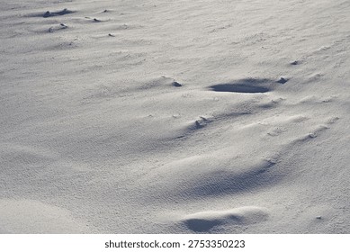 Snow Surface Patterns in Sunlight on Winter Snow Field