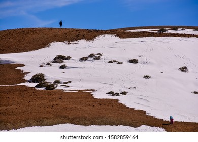 Snow texture for the background