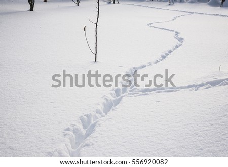 Similar – Image, Stock Photo tropic Snow Snow layer