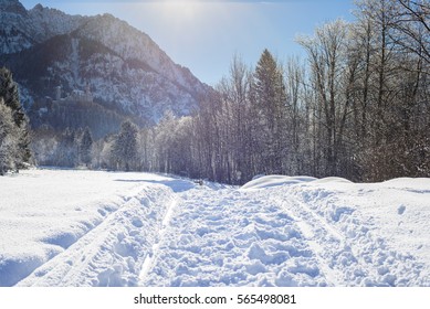 Snow Trail To The Wood Can Be Used For Back Ground