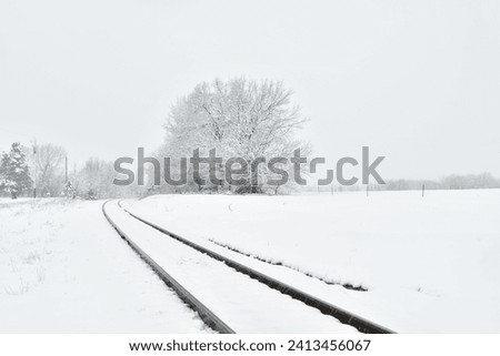 Snow and trees by a set of train tracks