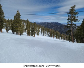 Snow And Trees At Heavenly Ski Resort 