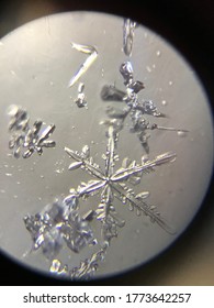 3,419 Snow Microscope Images, Stock Photos & Vectors | Shutterstock