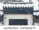 Snow view of Guiyuan Zen Temple in Wuhan