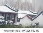 Snow view of Guiyuan Zen Temple in Wuhan