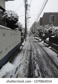 Snow view at Tokyo