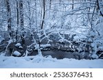 snow and water winter landscape in forest slow shutterspeed flowing water and snow on bare trees